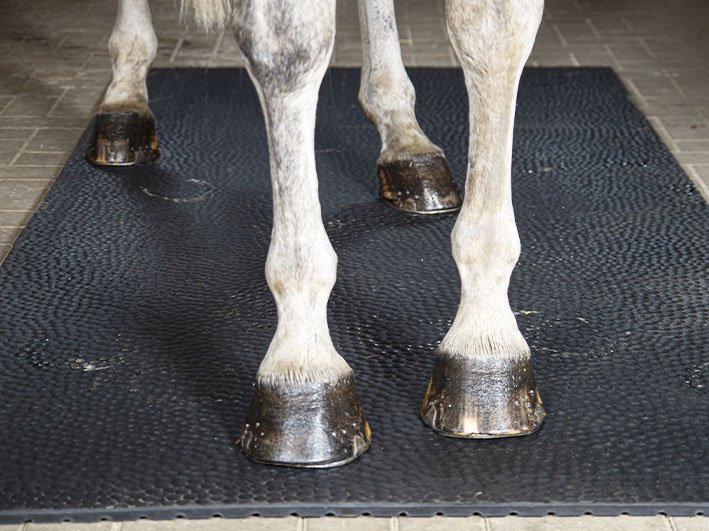 comfort hygienisch 567x428