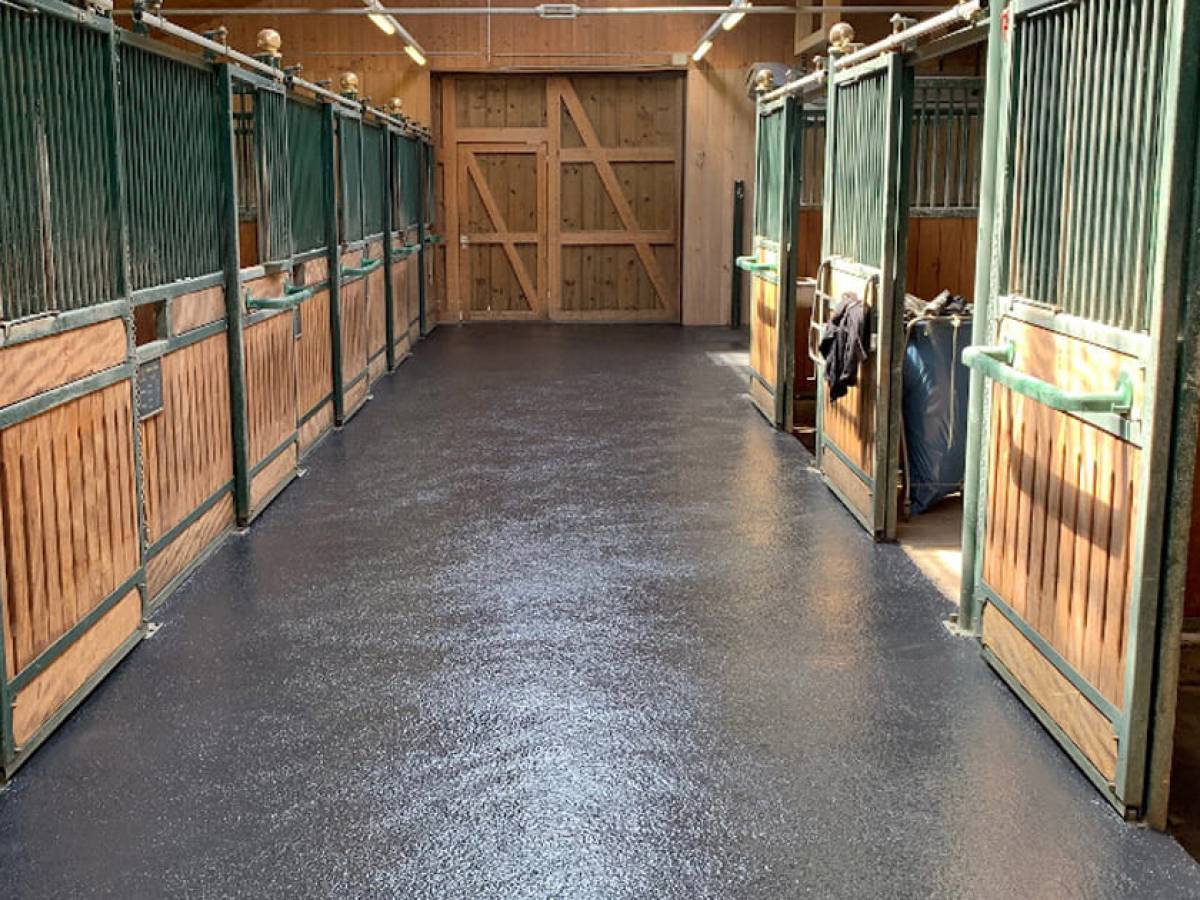 Rubber screed in Albführen – top horses stand on top flooring
