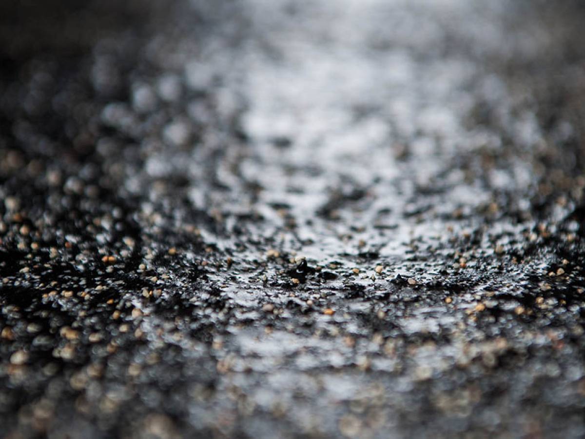 Only the best for the horses' health